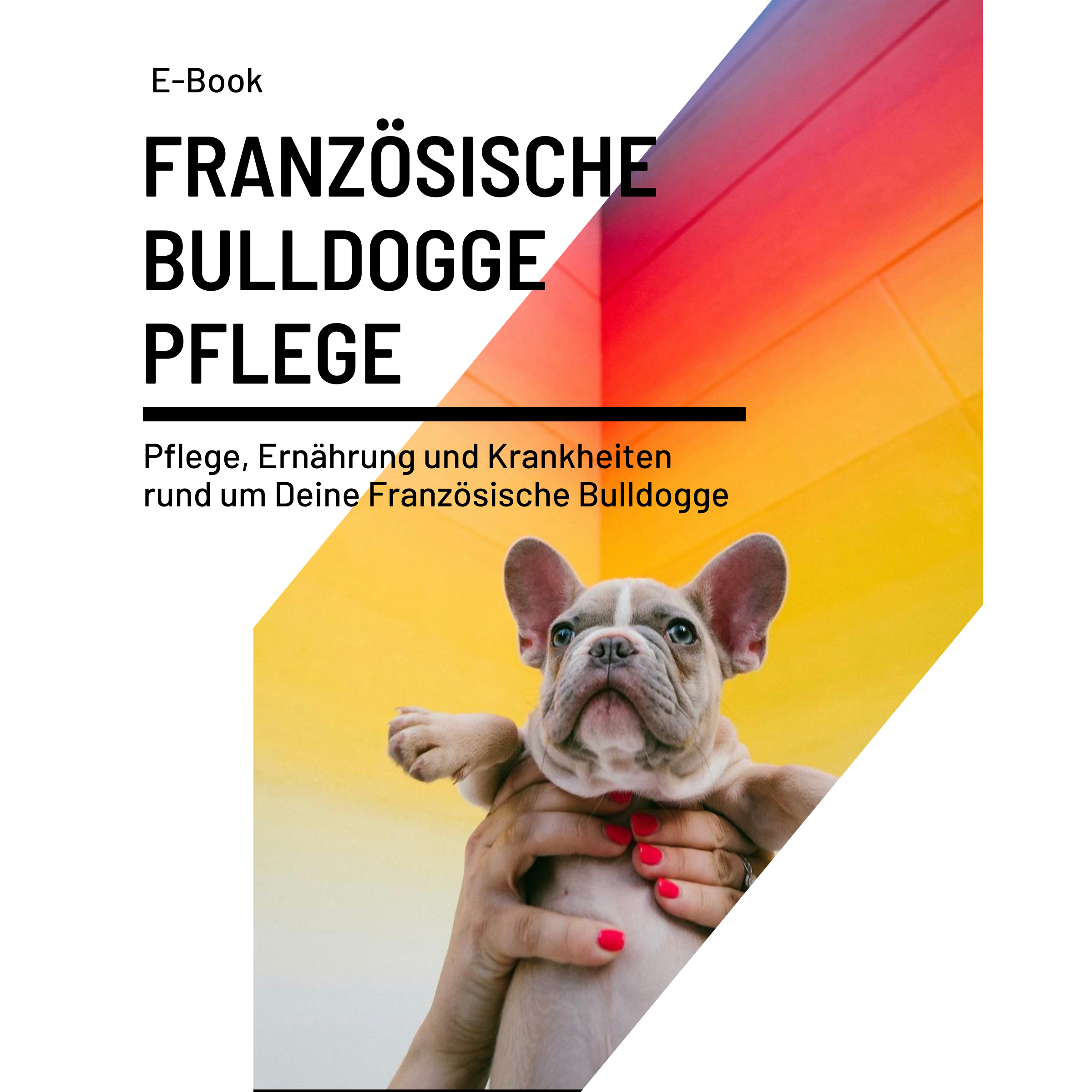 Pflege deiner französischen Bulldogge