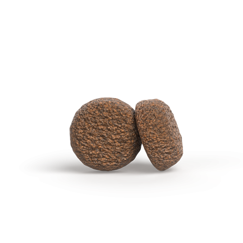 Krokettengröße des Josera Mini Adult Hundefutters mit Huhn & Reis – speziell für kleine Hunderassen