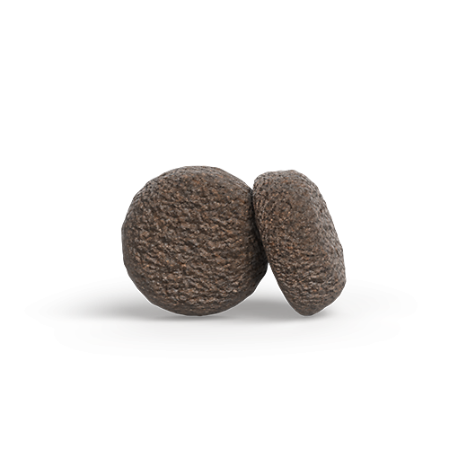 Nahaufnahme der Krokettenform von Josera Mini Junior mit Ente & Lachs – speziell für kleine Hundewelpen entwickelt.