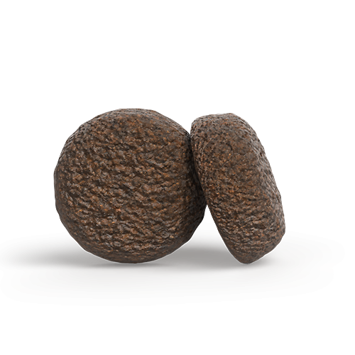 Detailaufnahme der Josera YoungStar Kroketten – braune, flache und runde Form mit strukturierter Oberfläche für Welpen aller Größen