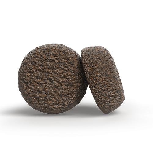 JosiDog Salmon & Potato Kroketten Größe leicht verdaulich Hunde