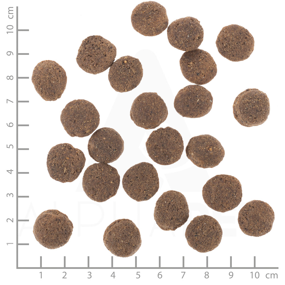 Wolfsblut VetLine Hypoallergenic Hundefutter