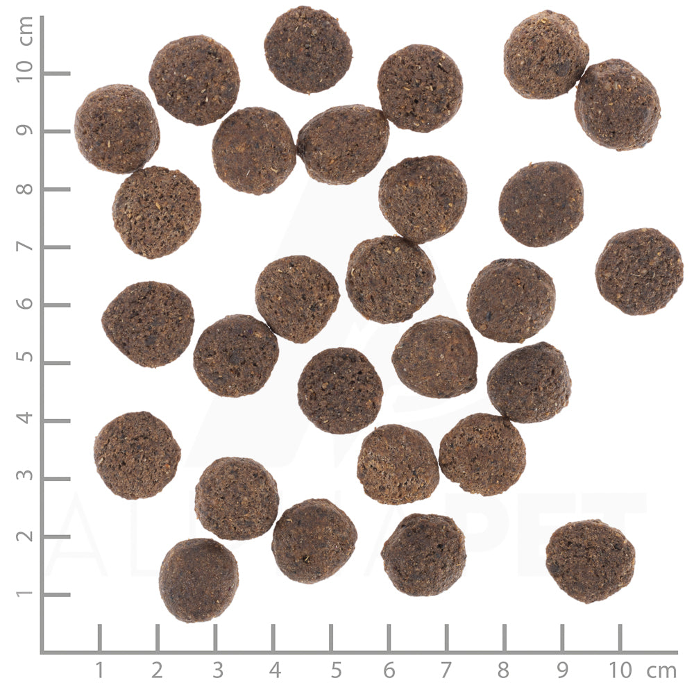 Wolfsblut VetLine Renal Hundefutter