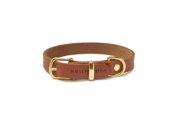 Premium Leder Hundehalsband
