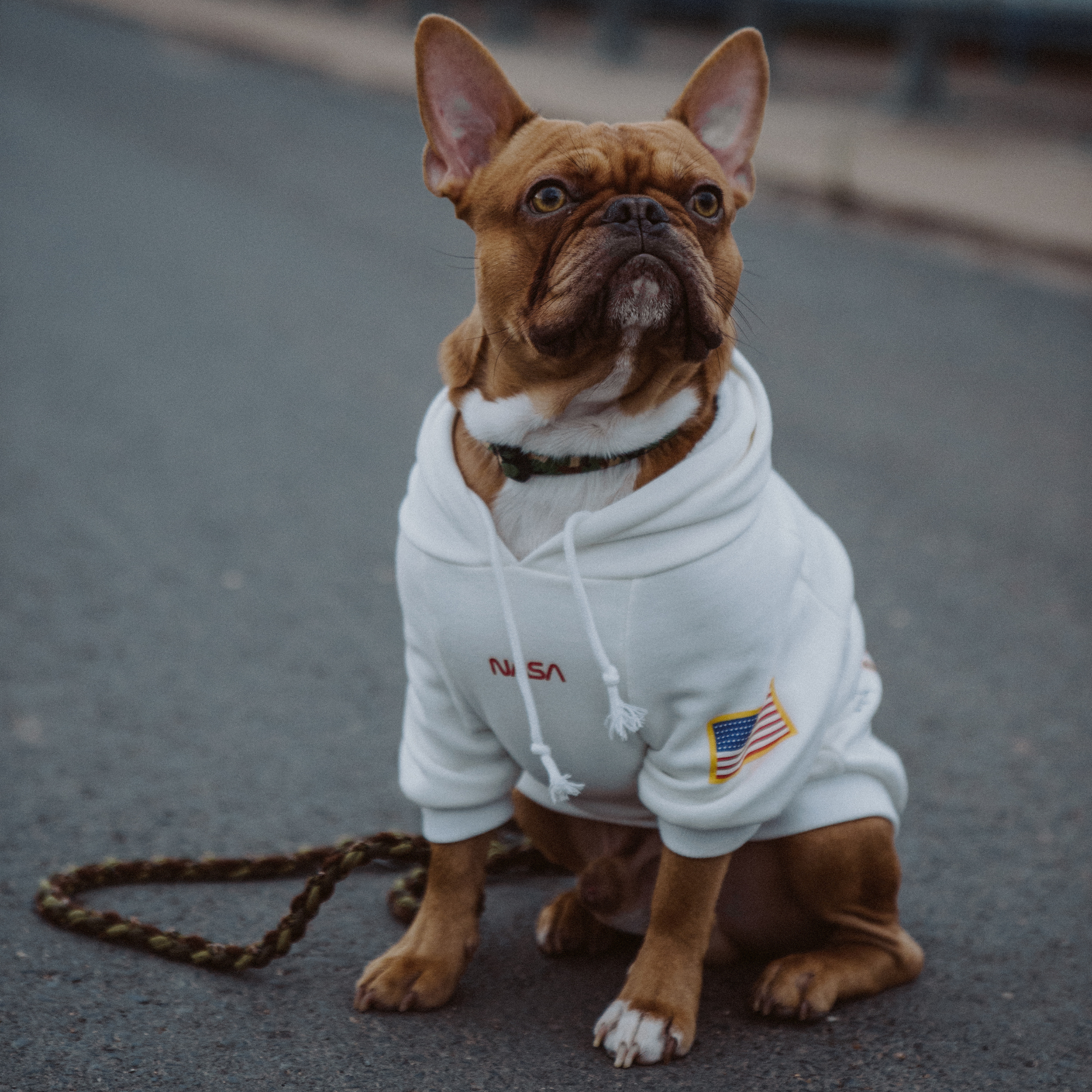 NASA ™ Hundepullover | Dogs Supreme © | Hoodie | Weiß