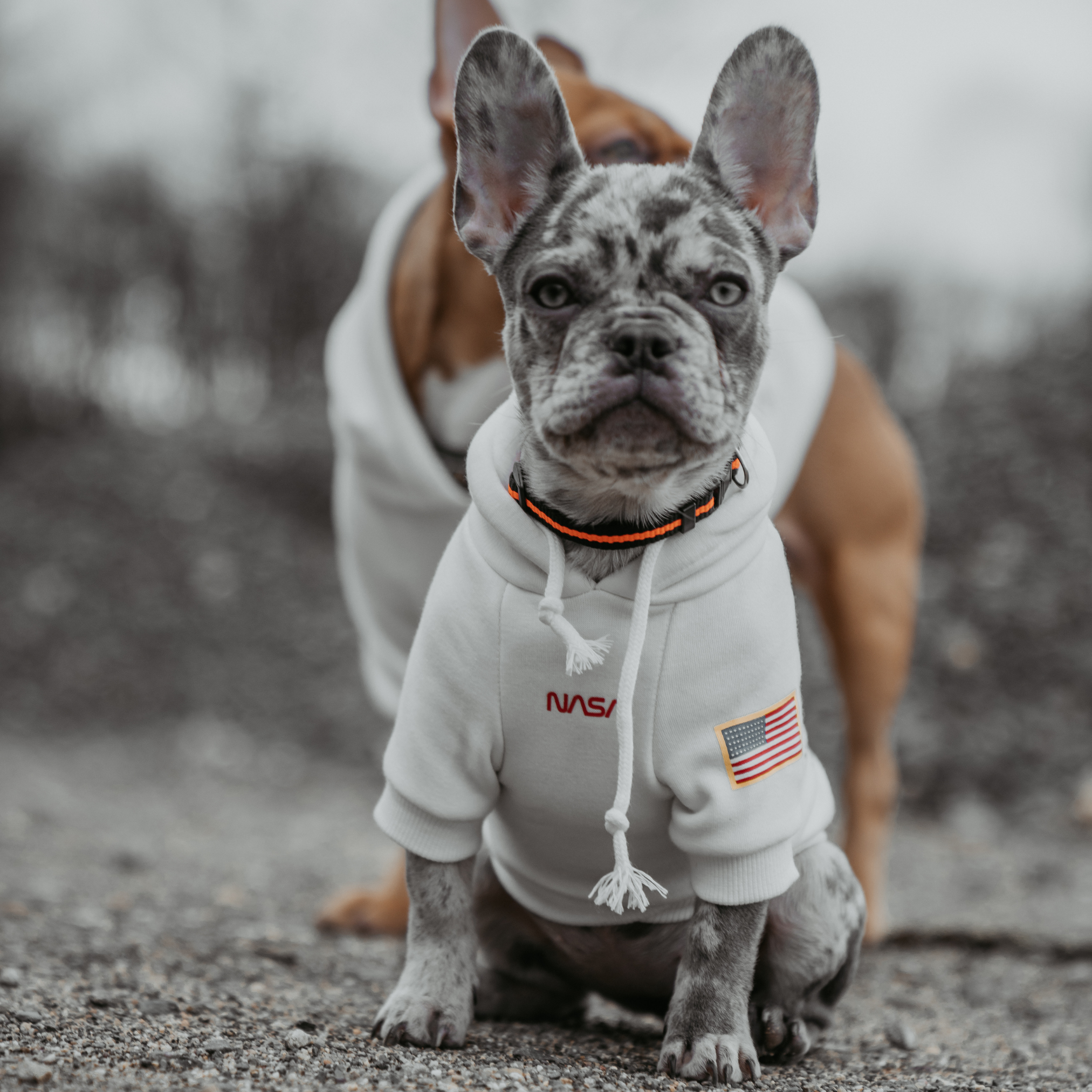 NASA ™ Hundepullover | Dogs Supreme © | Hoodie | Weiß