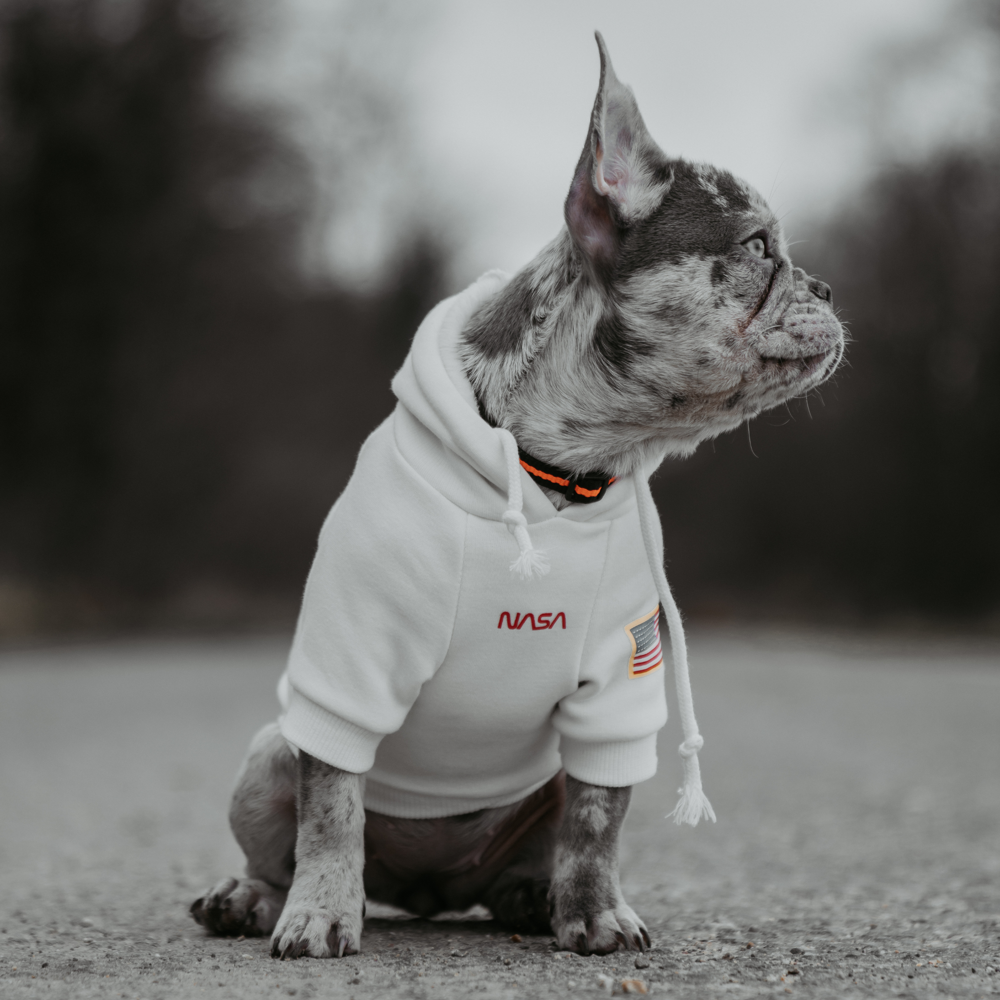 NASA ™ Hundepullover | Dogs Supreme © | Hoodie | Weiß