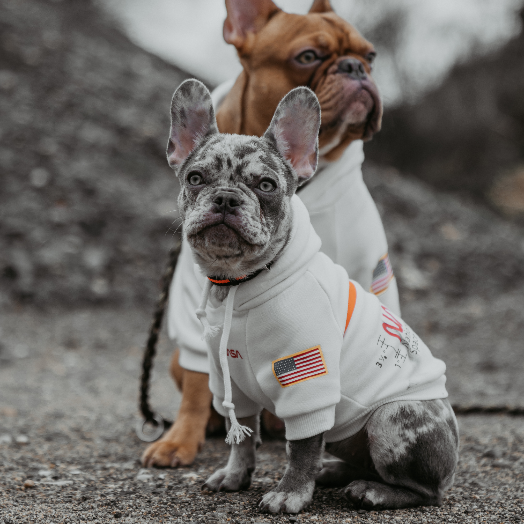 NASA ™ Hundepullover | Dogs Supreme © | Hoodie | Weiß