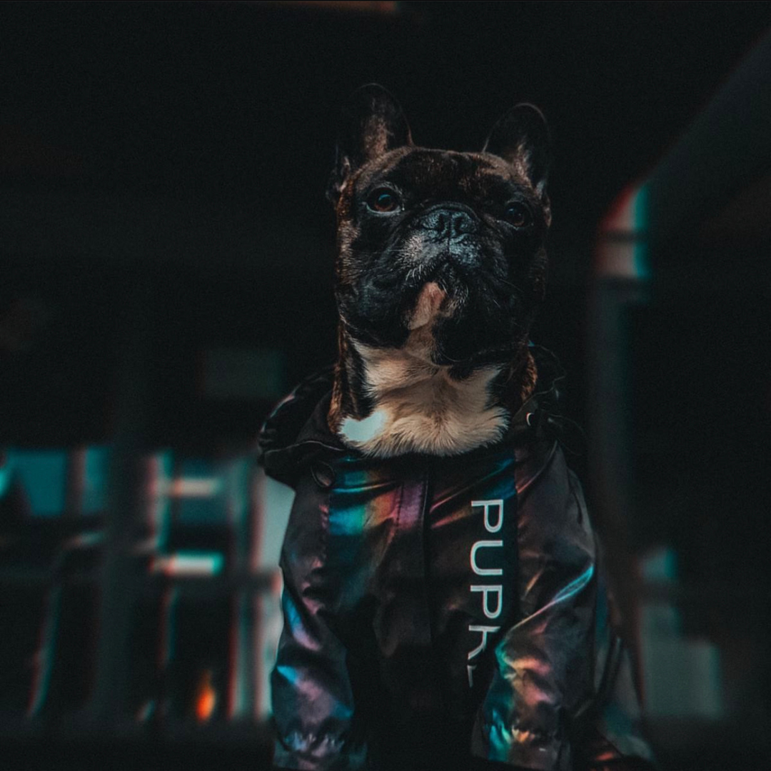 Pupreme ™ Regenjacke