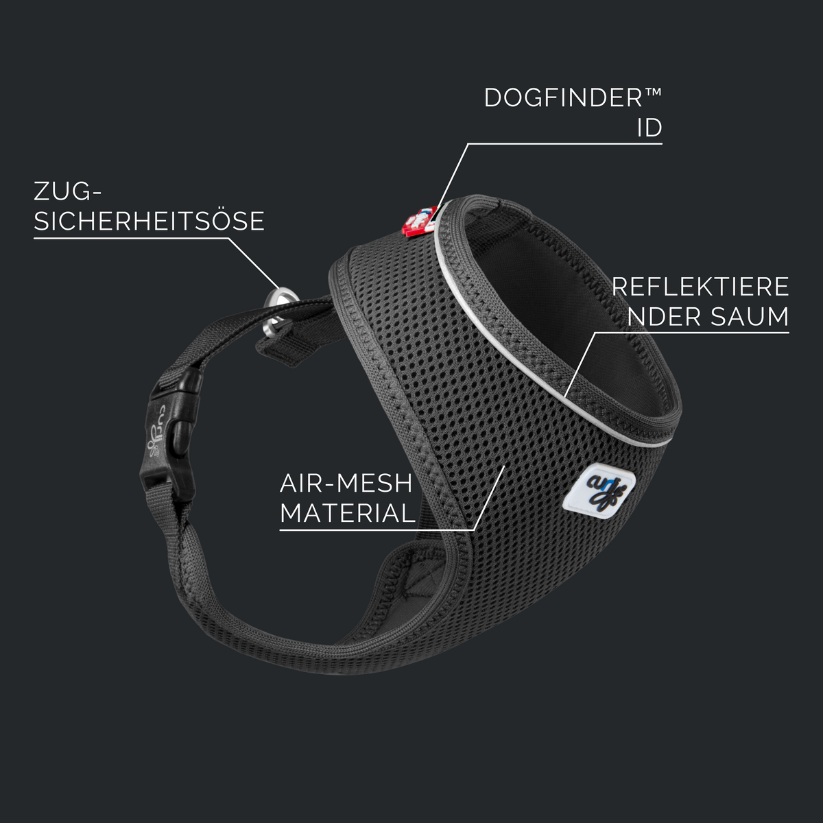 Franzoesische Bulldogge traegt Air Mesh Geschirr beim Spaziergang