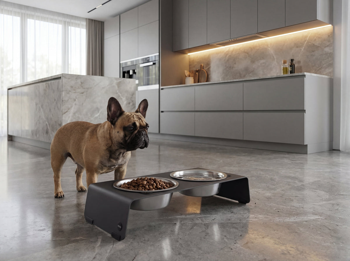 Erhöhter Hundenapf Ratgeber 2026: Richtige Höhe, Material & Kaufberatung