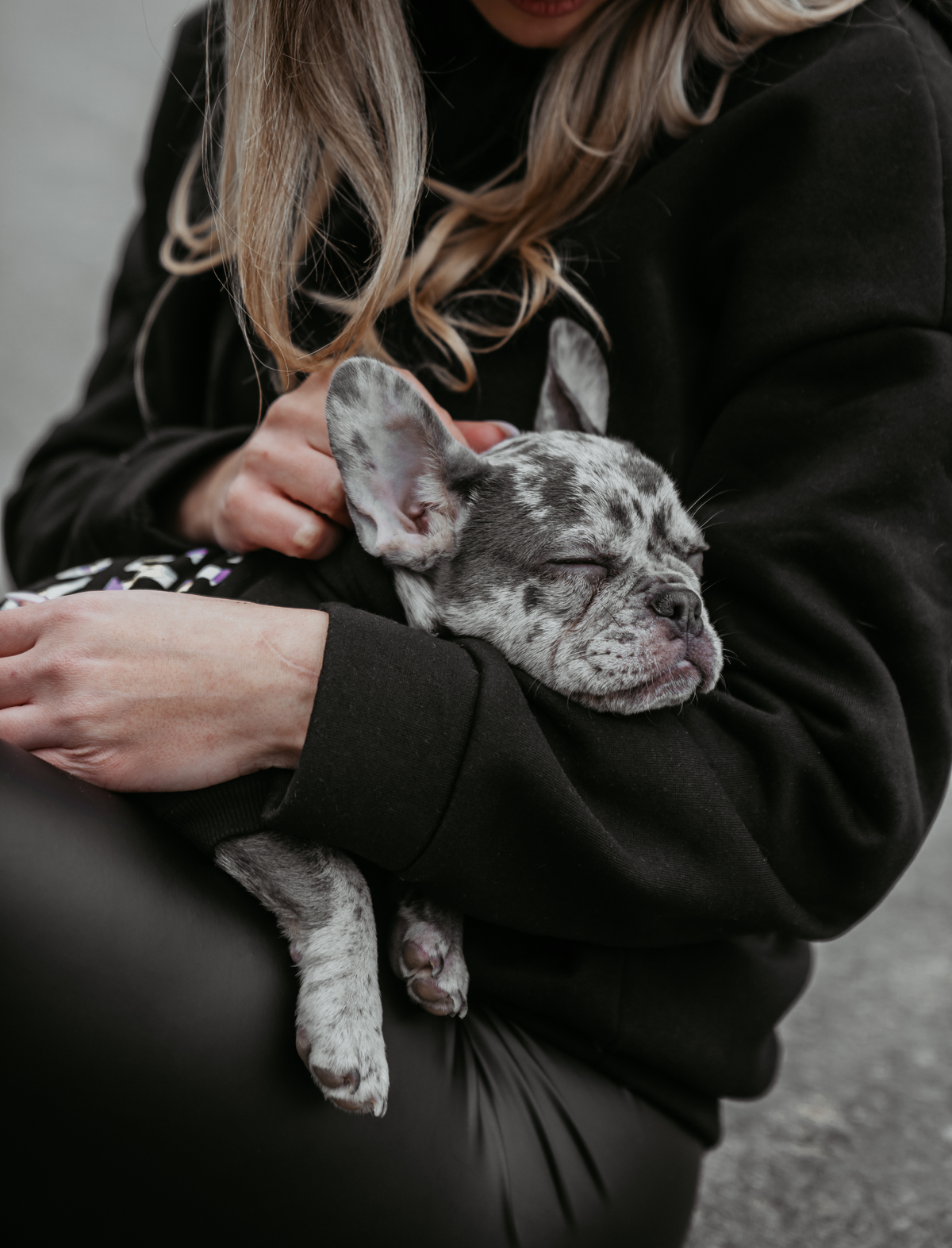 Hundebekleidung als Must-have oder No-Go im Alltag