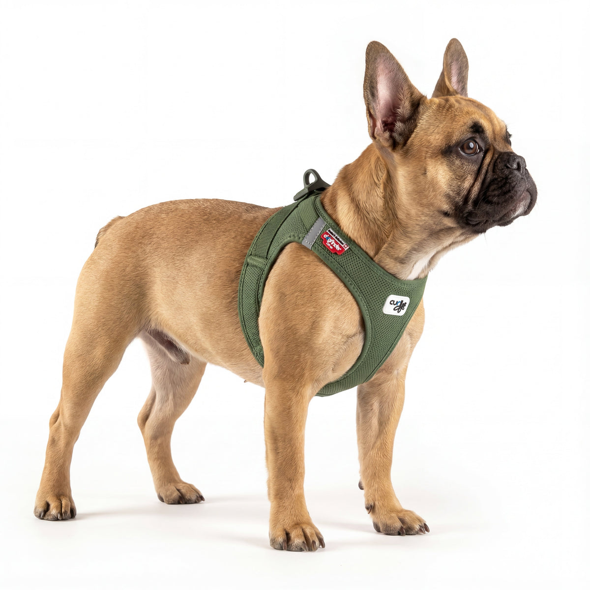 Das Beste Hundegeschirr für Französische Bulldoggen | Dogs Supreme