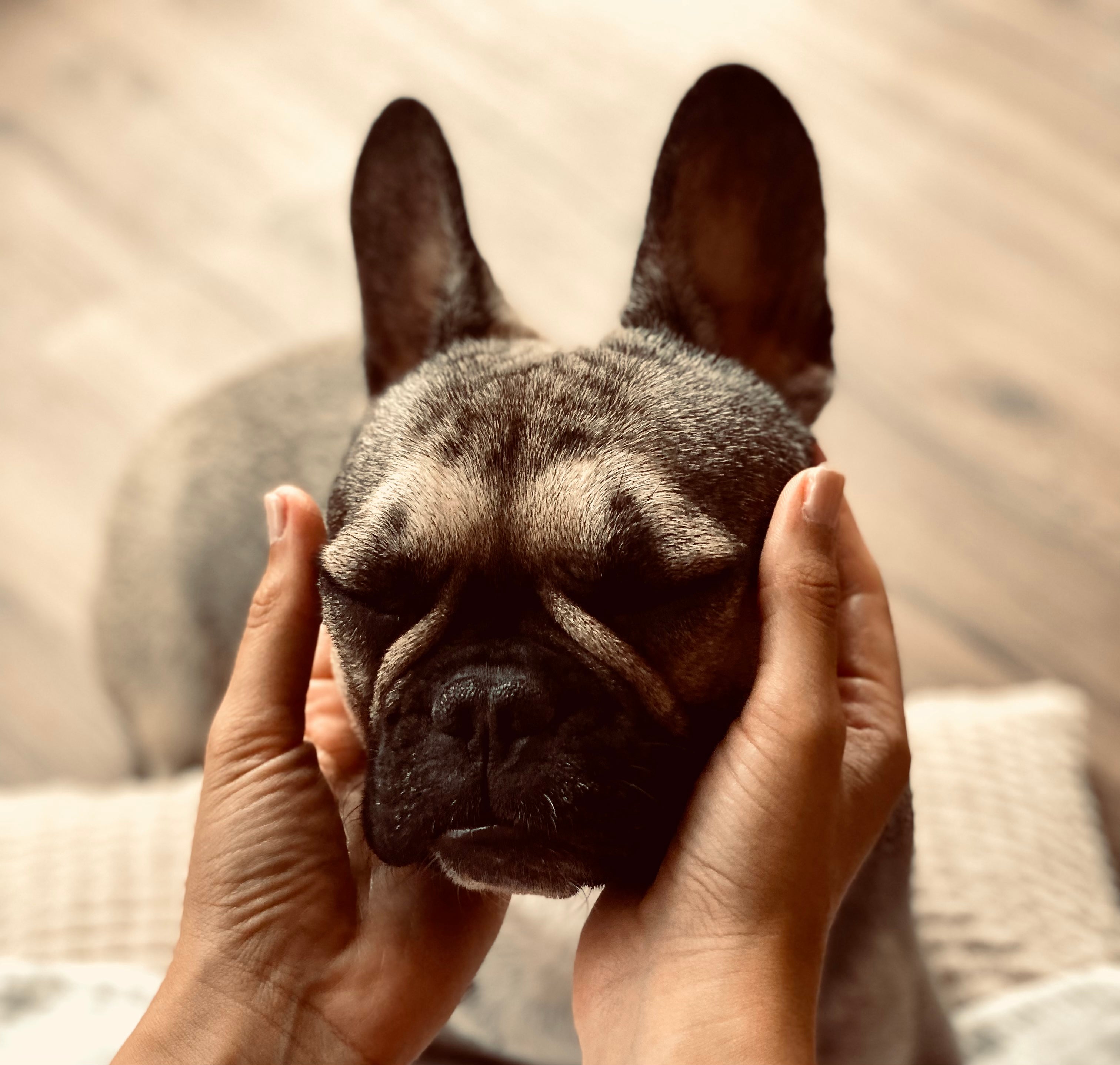 Falten, Ohren &amp; empfindliche Haut richtig behandeln