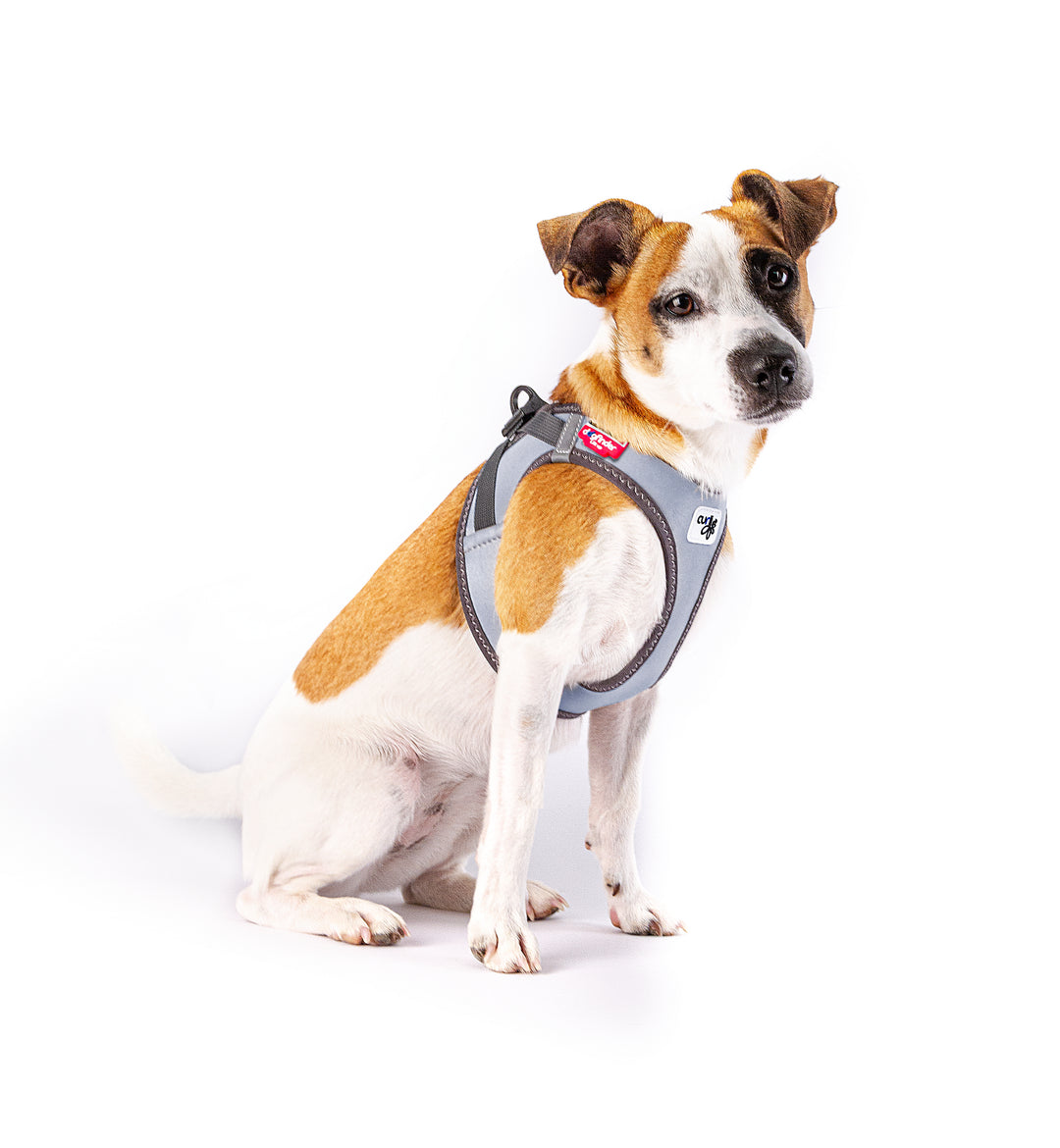 Reflektierendes Hundegeschirr für maximale Sicherheit & Komfort