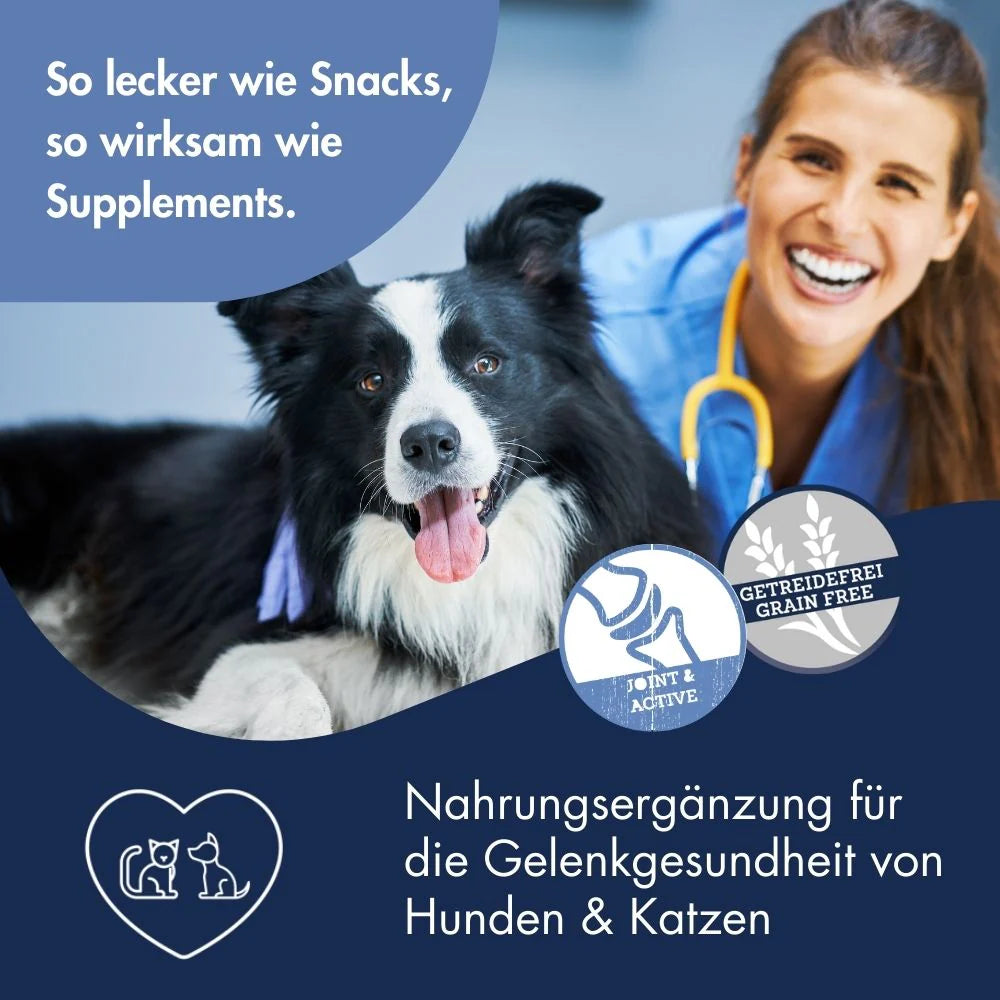 Vital Snack Joint & Mobility