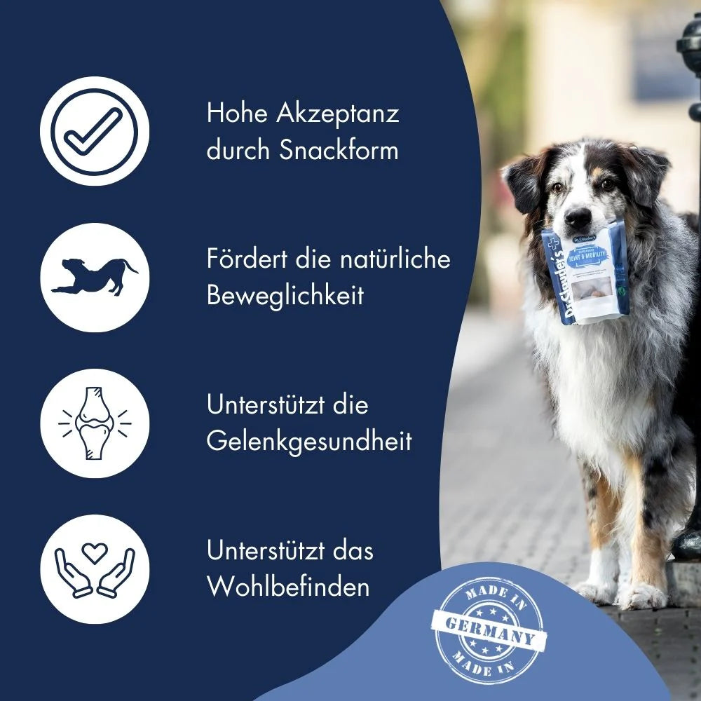 Vital Snack Joint & Mobility