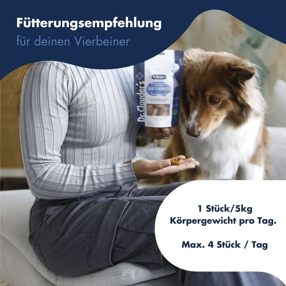 Vital Snack Joint & Mobility