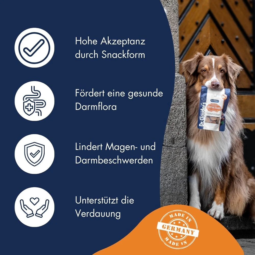 Vital Snack Intestinal Balance