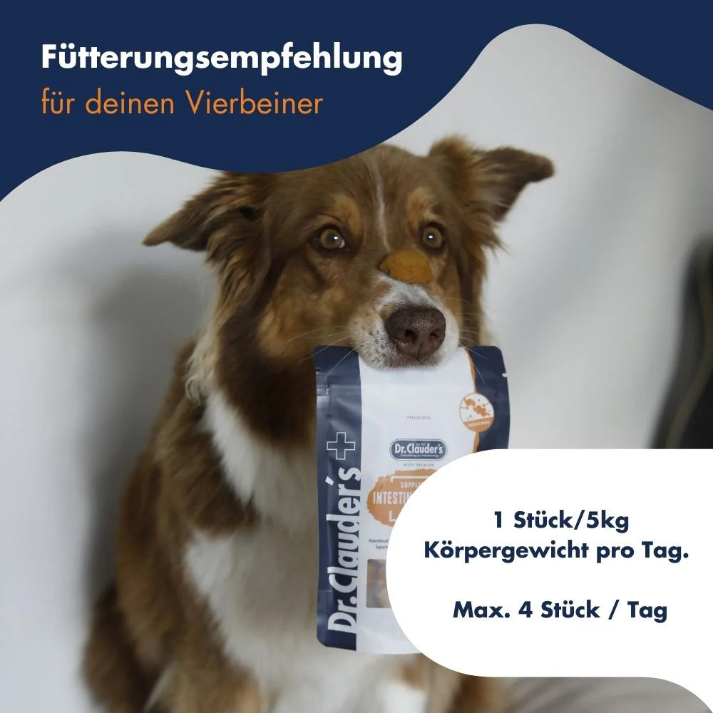 Vital Snack Intestinal Balance