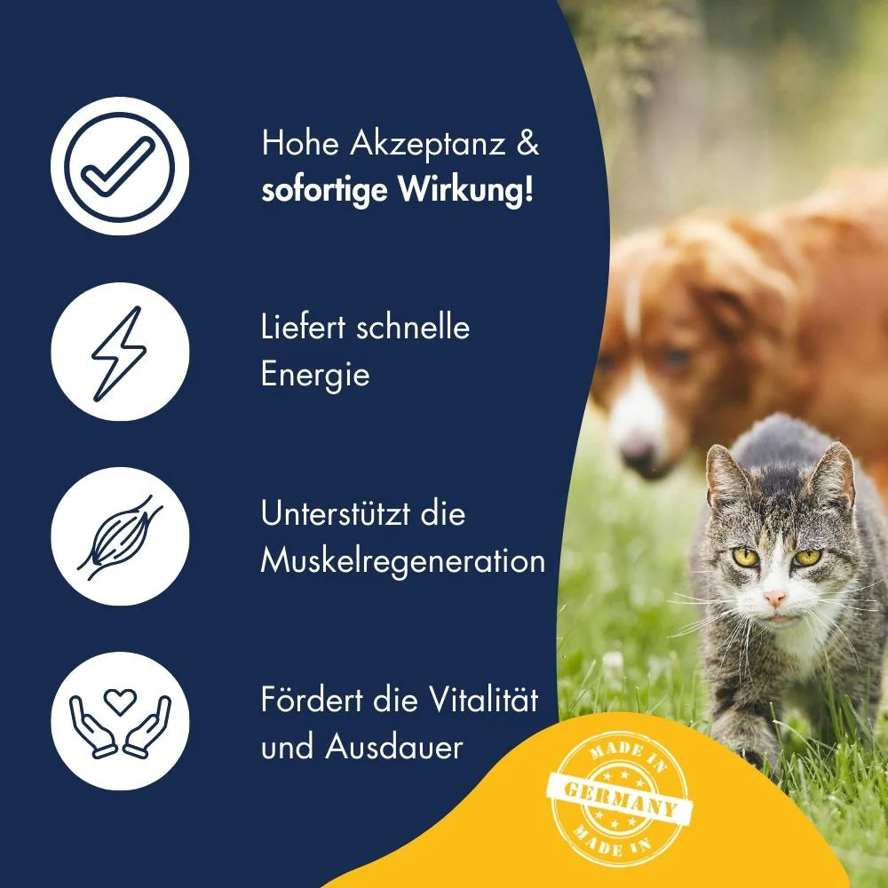 Vital Snack Extra Power