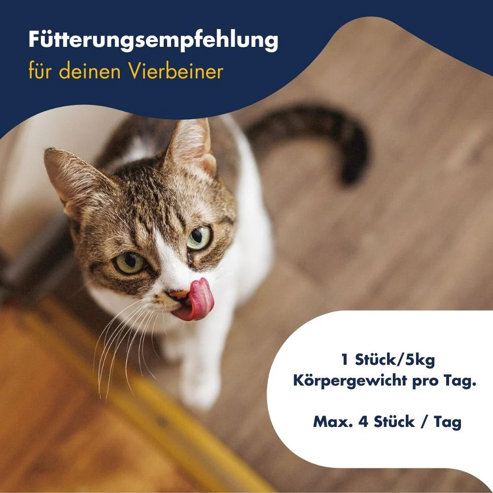 Vital Snack Extra Power