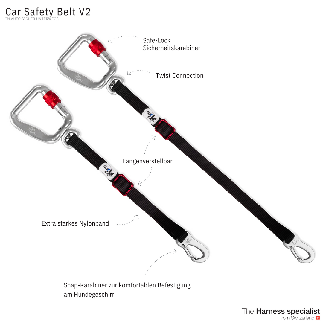 Auto Sicherungsgurt V2