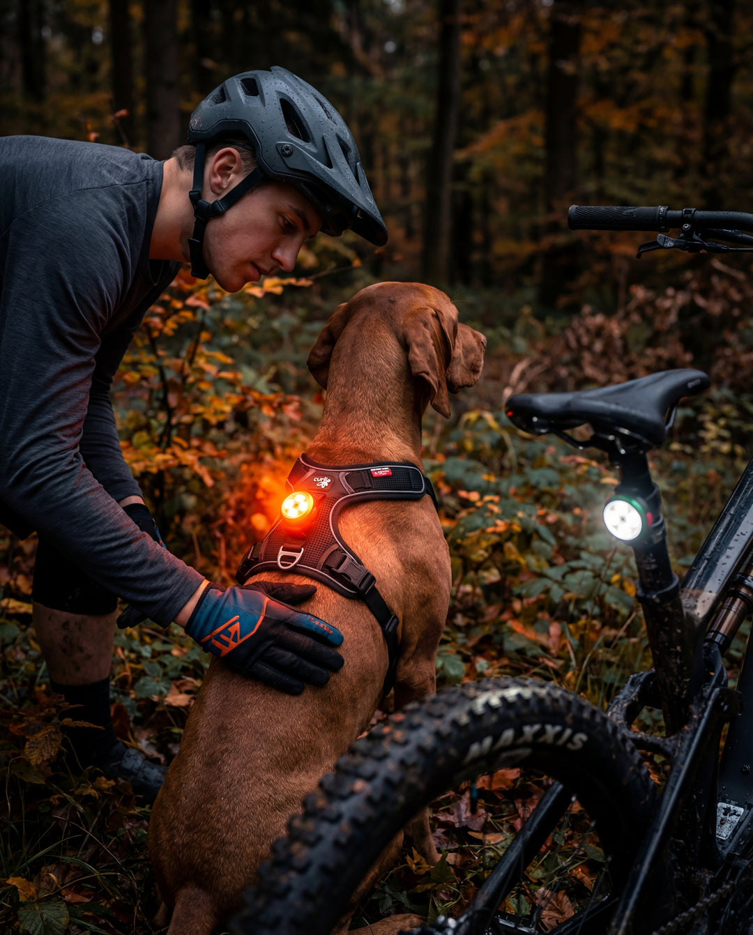 LED Pro Sicherheitslicht Übersicht – ultra dünn