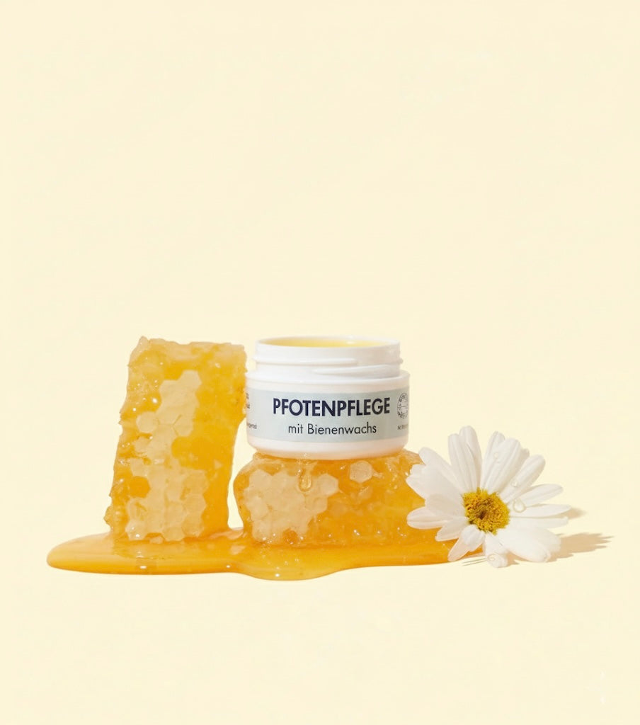 Bienenwachs-Balsam für Pfoten & Nase