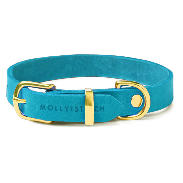 Frisches handgefertigtes Premium Leder Hundehalsband in Fiji Blau von Dogs Supreme