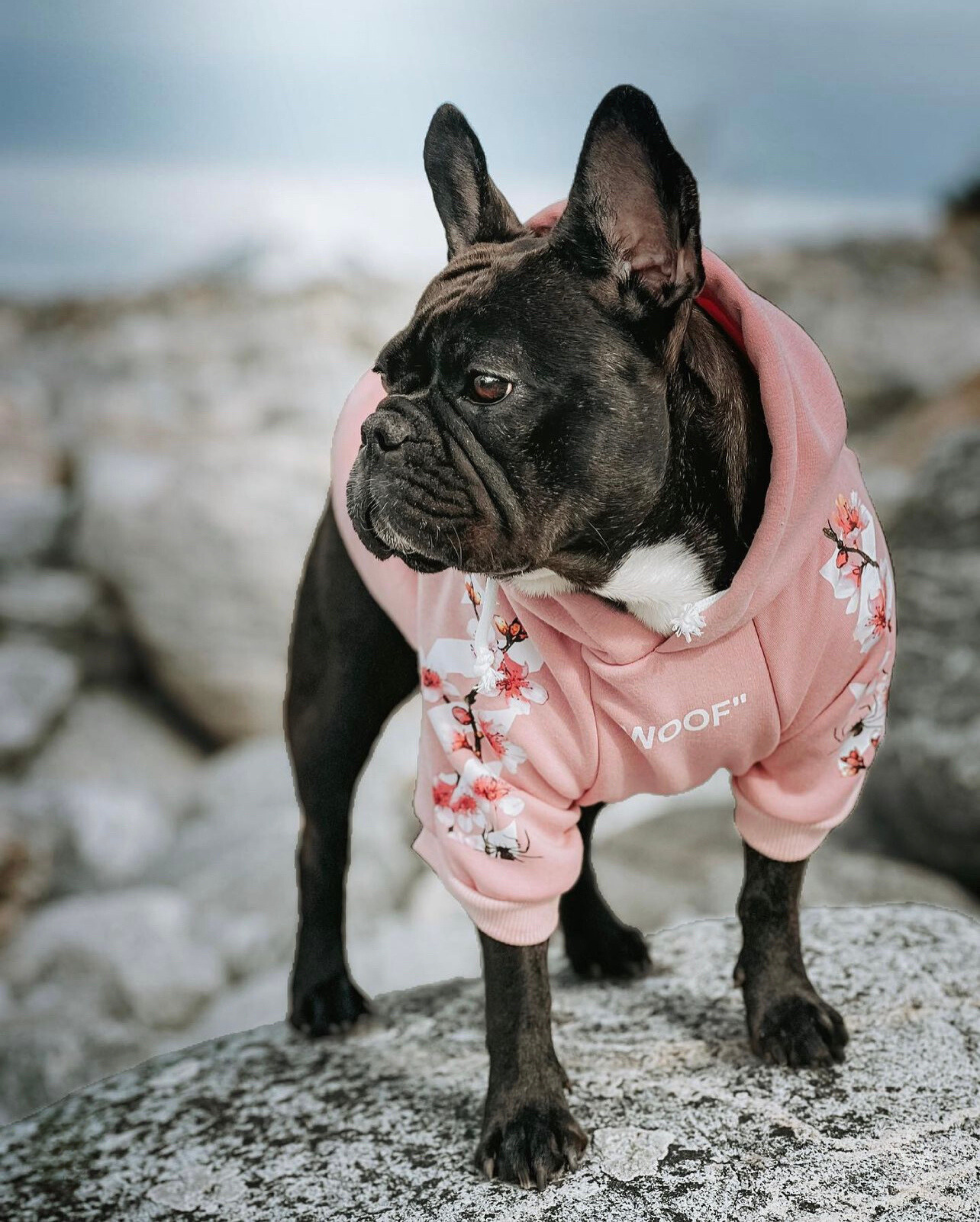 Hundepullover Aus Warmem Fleece – Für Französische Bulldoggen & Möpse, ärmellos, Mit Tasche, Größe 3XL Marineblau
