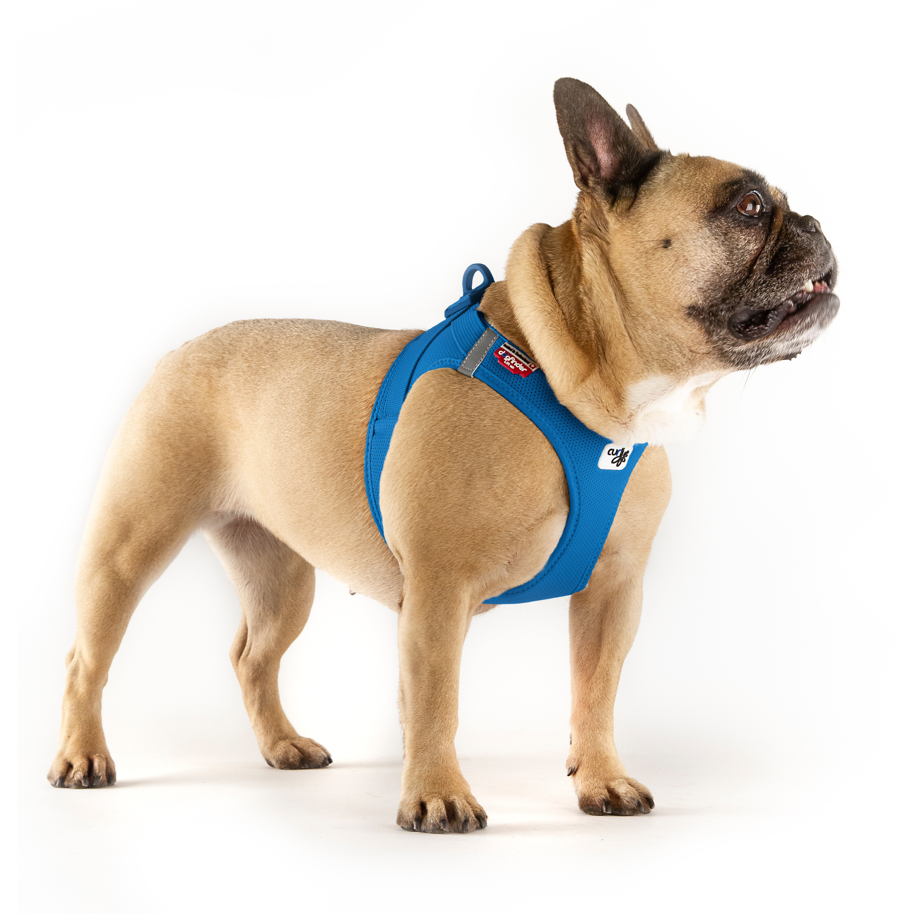 Step-in Hundegeschirr Aus Veganem Leder – Leicht, Atmungsaktiv & Verstellbar – Mit Reflektor-Streifen