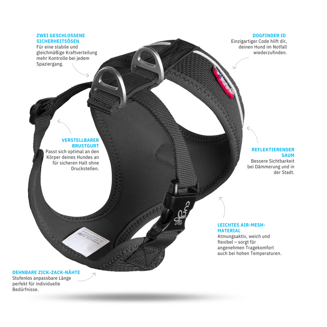 Schwarzes Basic Air Mesh Hundegeschirr. Leicht, atmungsaktiv und ideal für kleine bis mittelgroße Hunde