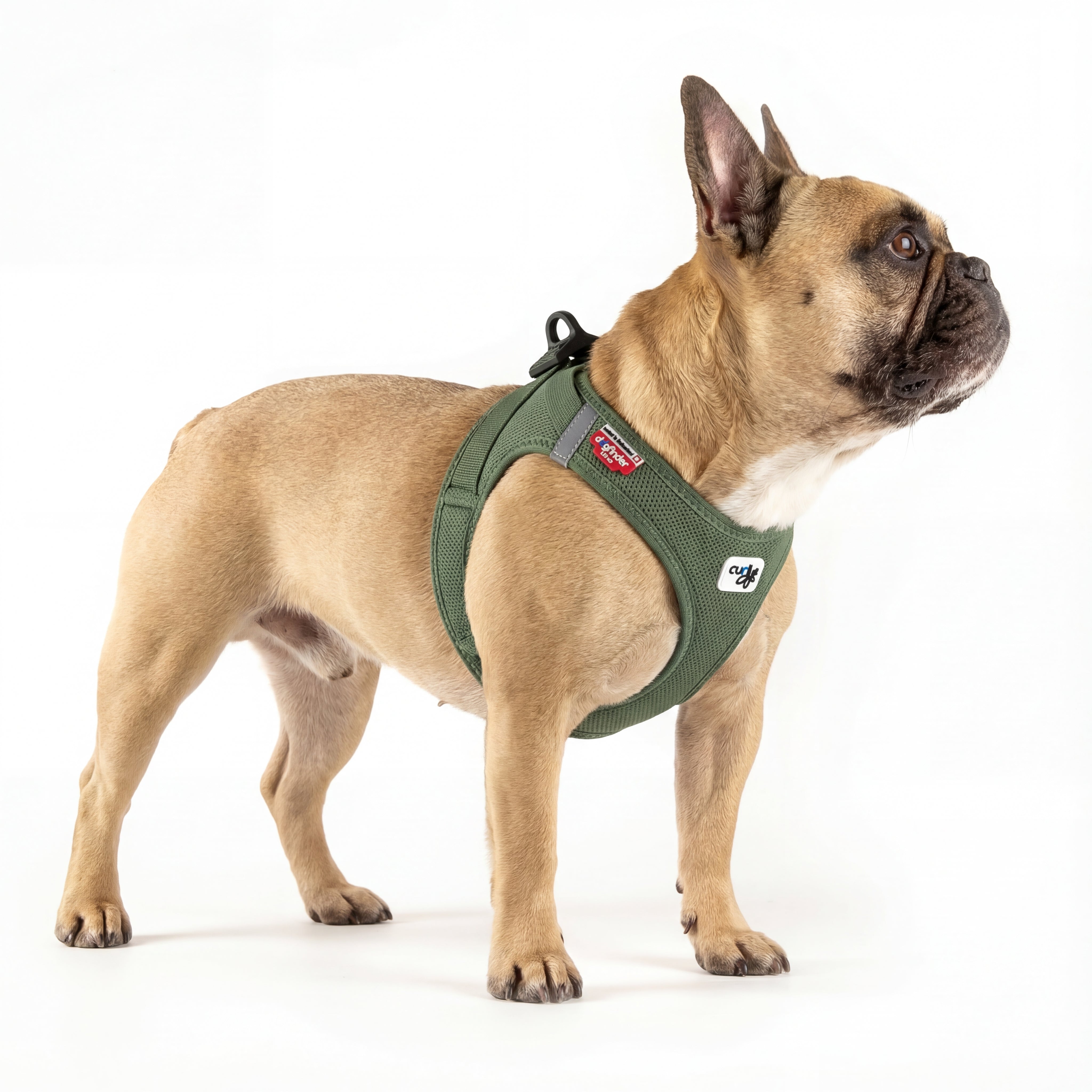 Französische Bulldogge in Seitenansicht trägt DOGS SUPREME AirMesh Pro Hundegeschirr in Olivgrün, atmungsaktives Mesh Brustgeschirr im Studio vor weißem Hintergrund.