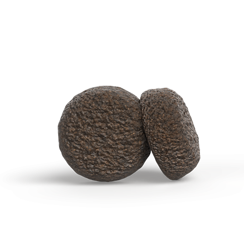 High Protein with Insects & Salmon Krokettenform leicht verdauliches Hundefutter