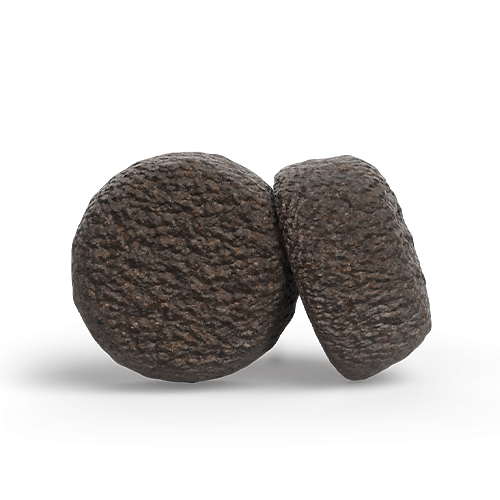 Josera Festival Trockenfutter mit Lachs fuer waehlerische Hunde