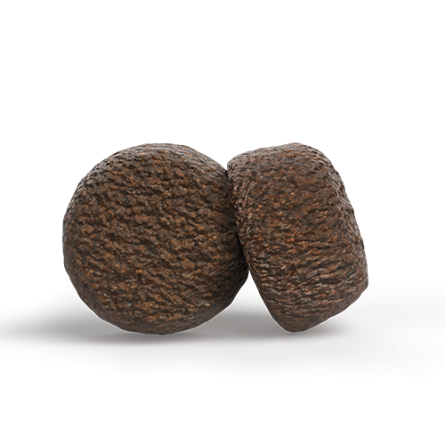 Josera Junior High Protein Sea Fish Welpenfutter getreidefrei mit Lachs