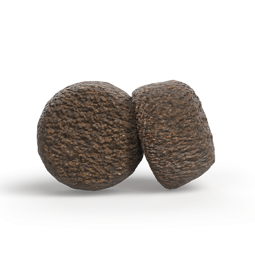 Josera Lamb and Rice Trockenfutter mit Lamm fuer empfindliche Hunde