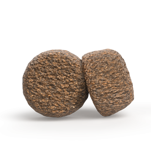 Krokettenform des Josera Light & Vital Trockenfutters – nährstoffreiche Hundefutterstücke für leicht übergewichtige Hunde