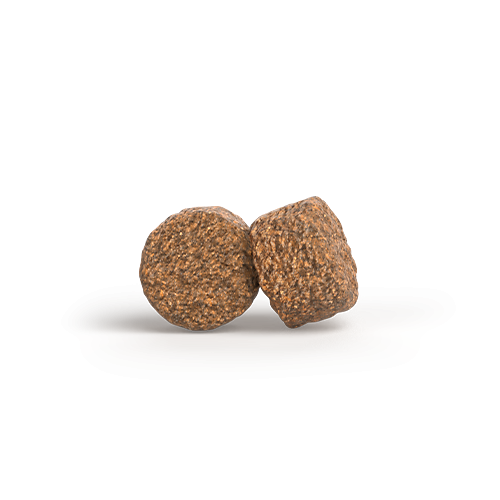 Josera Mother and Puppy Salmon Rice Welpenfutter fuer traechtige Huendinnen