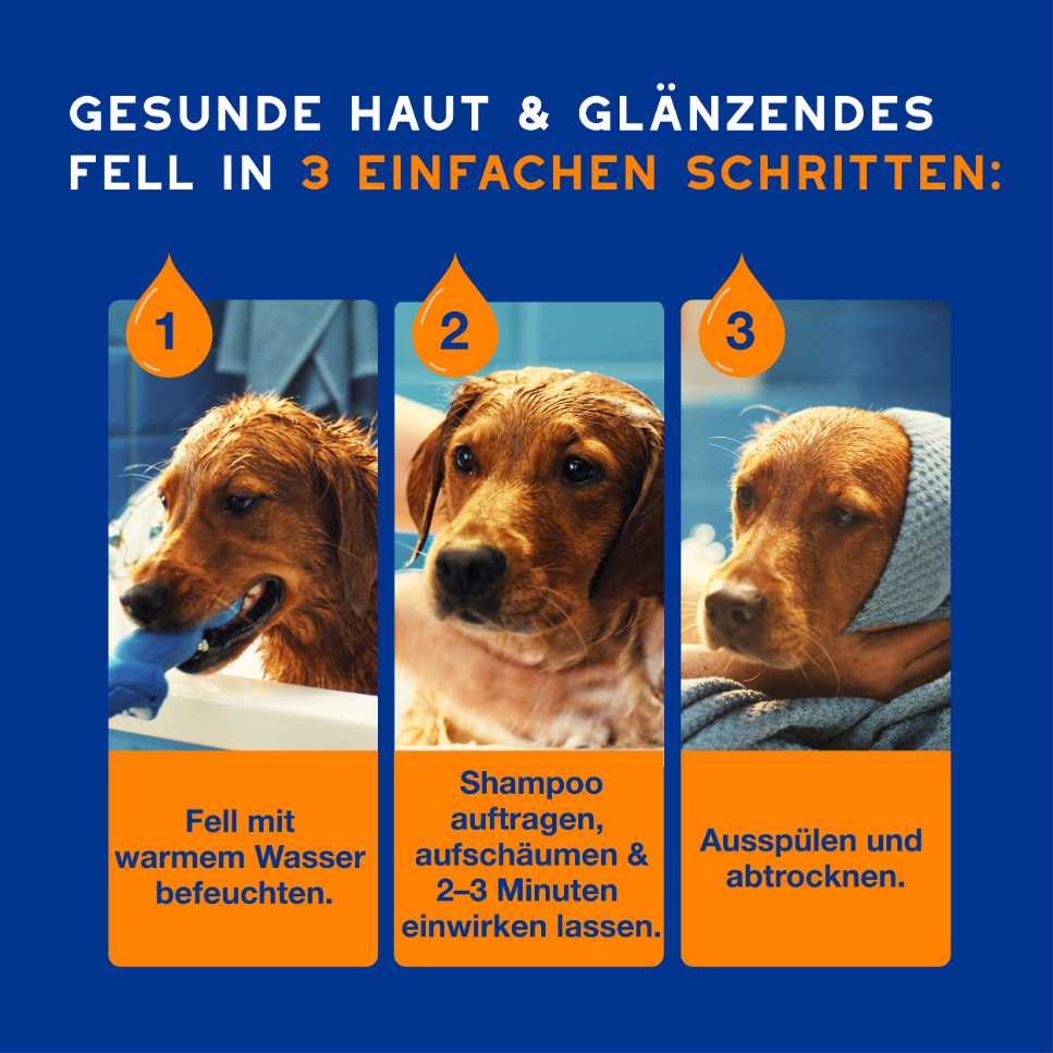 RE:CARE Hundeshampoo 2-in-1 Anwendung in drei einfachen Schritten