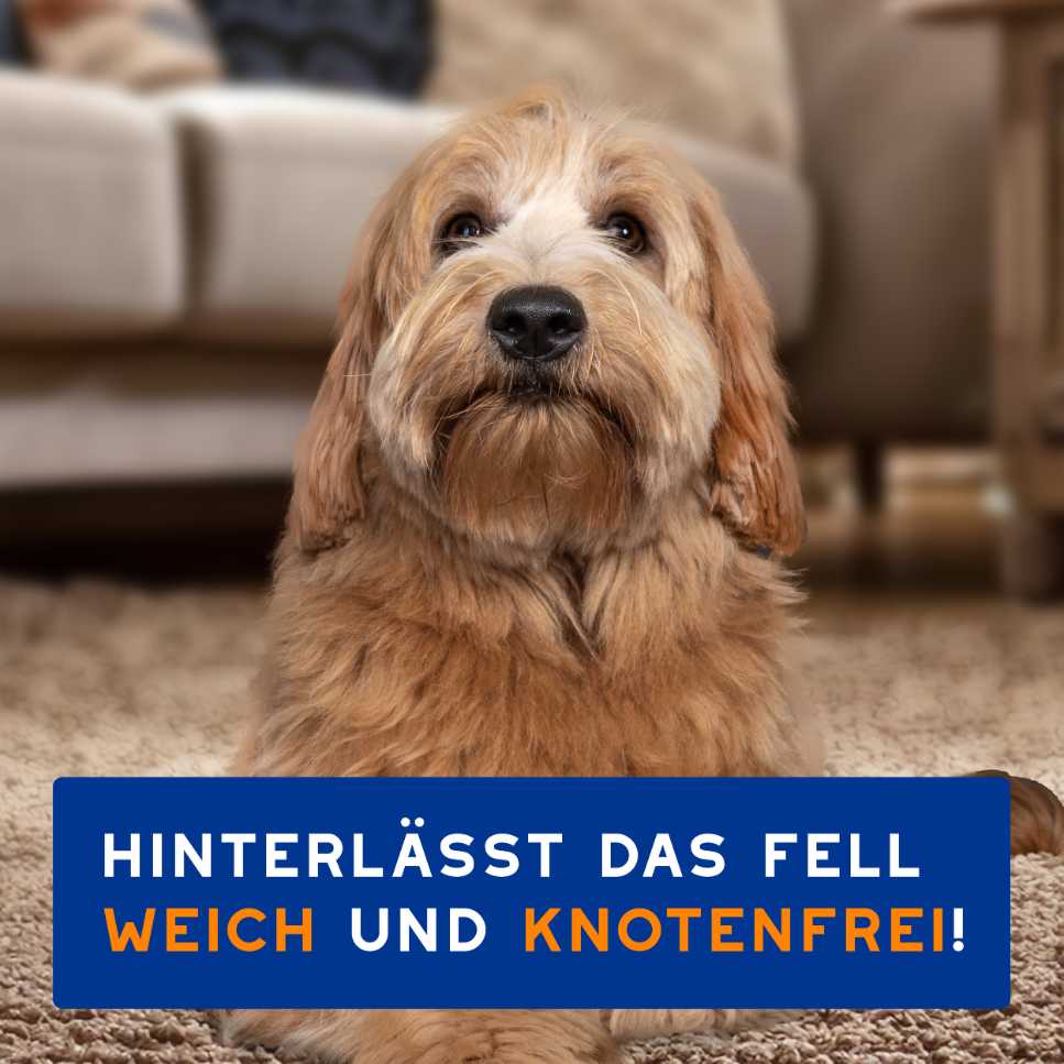 RE:CARE Hundeshampoo 2-in-1 für weiches und knotenfreies Fell
