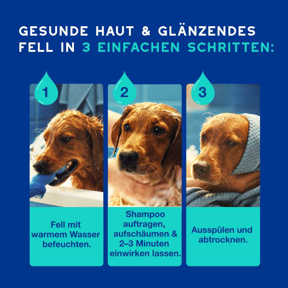 RE:CARE Hundeshampoo Frisch Anwendung in drei einfachen Schritten