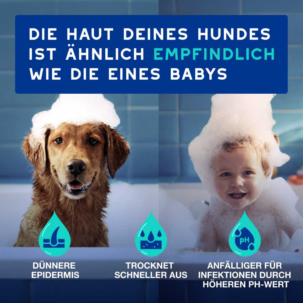 RE:CARE Hundeshampoo Frisch sanft für empfindliche Hundehaut wie Babyhaut
