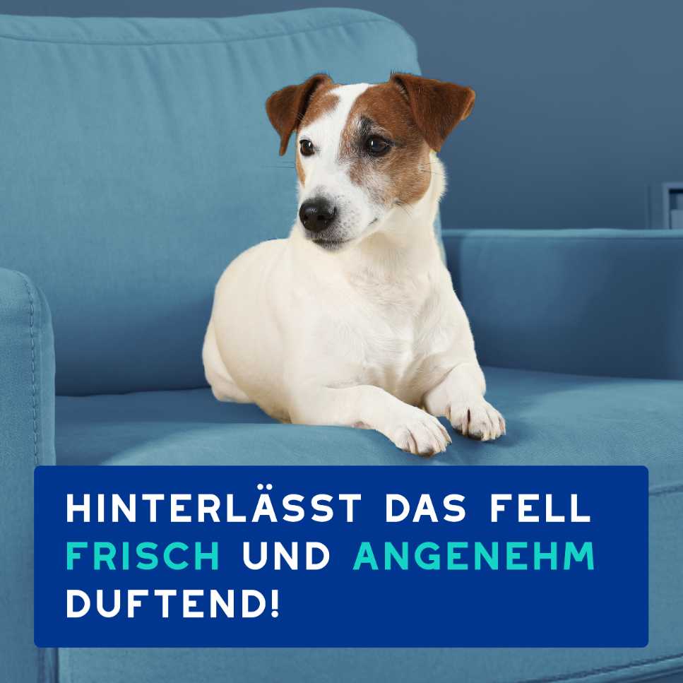 RE:CARE Hundeshampoo Frisch hinterlässt das Fell frisch und duftend