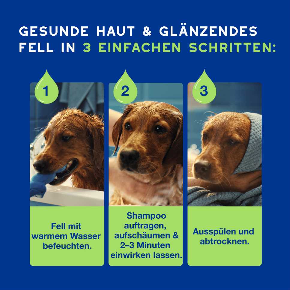 RE:CARE Hundeshampoo Puppy einfache Anwendung in drei Schritten