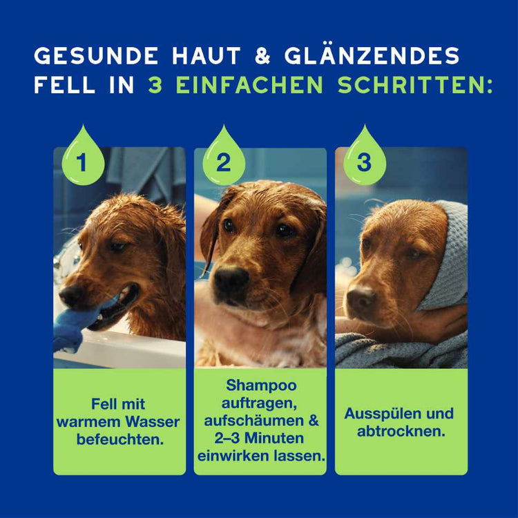 RE:CARE Hundeshampoo Puppy einfache Anwendung in drei Schritten