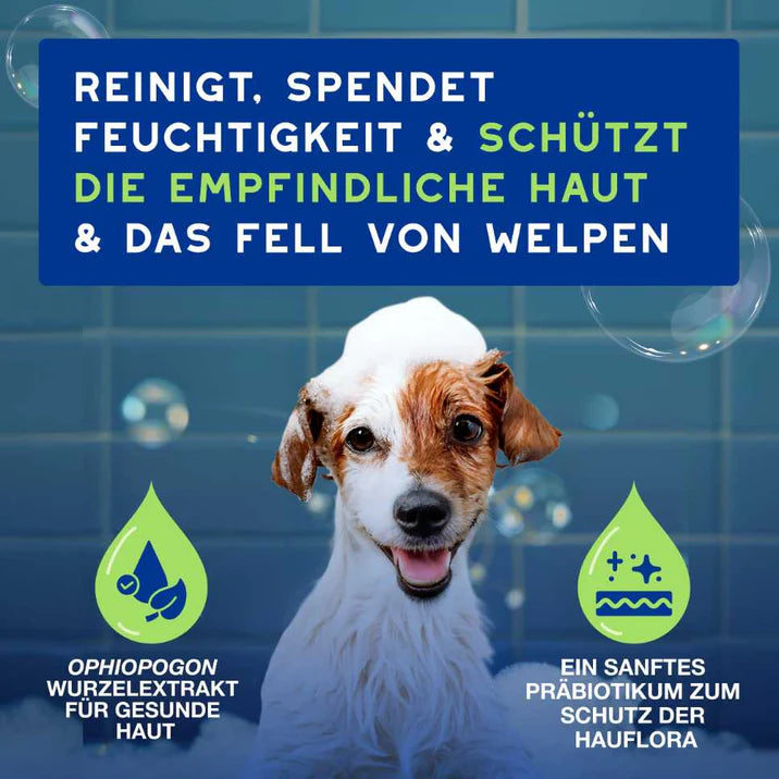 RE:CARE Hundeshampoo Puppy reinigt spendet Feuchtigkeit für Welpen