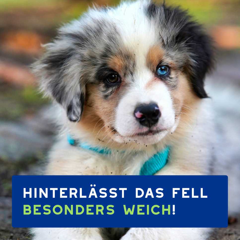 RE:CARE Hundeshampoo Puppy hinterlässt Fell besonders weich und gepflegt