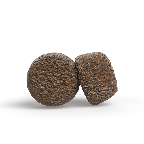 Sensitive with Insects & Rice Krokettenform leicht verdauliches Trockenfutter